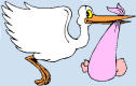 Stork
